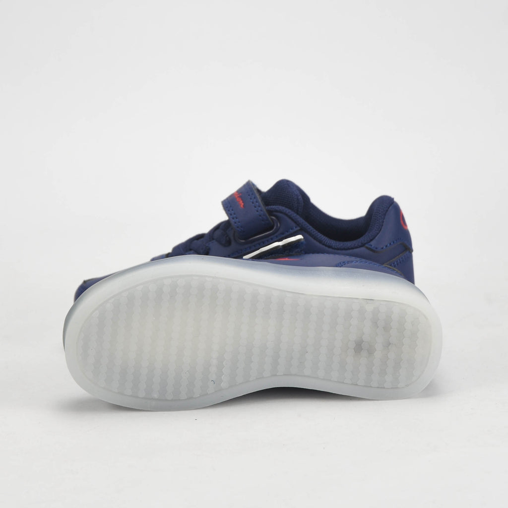 CHAMPION BASKET